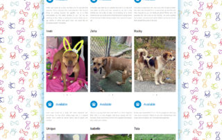 ODAAT Adopt Page
